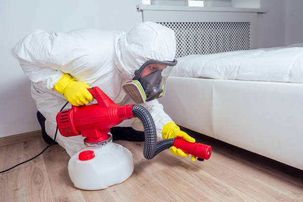 Best Local Pest Control Services  in Albany, LA