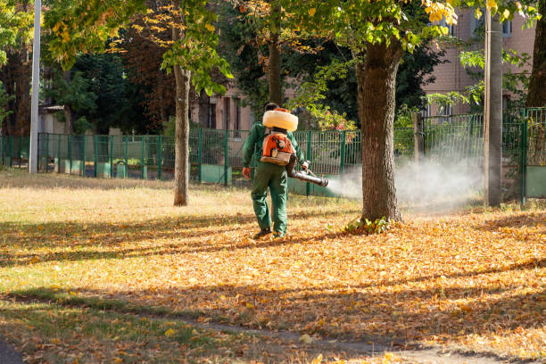 Best Pest Removal Services  in Albany, LA