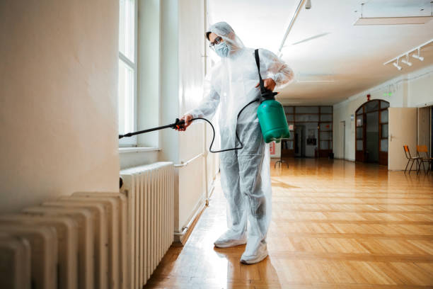 Flea Control Services in Albany, LA